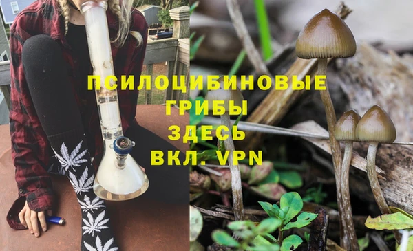 ешки Абинск