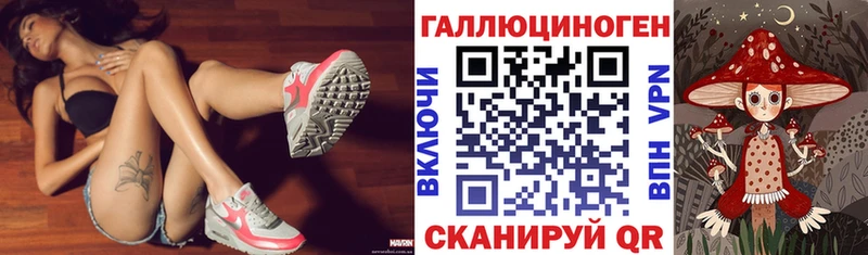 Псилоцибиновые грибы Psilocybe  Щёлкино 